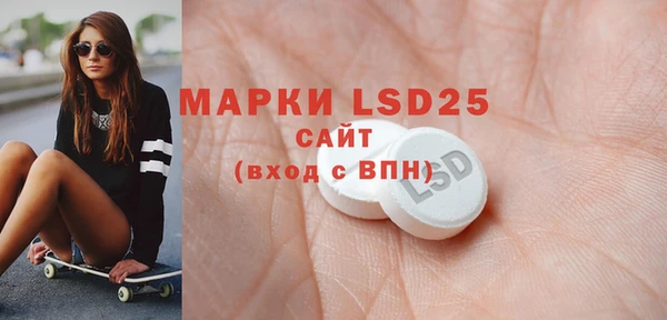 ПСИЛОЦИБИНОВЫЕ ГРИБЫ Переславль-Залесский