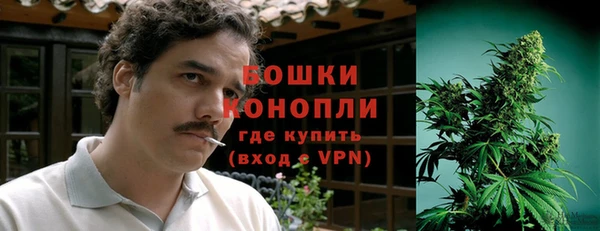 ПСИЛОЦИБИНОВЫЕ ГРИБЫ Переславль-Залесский