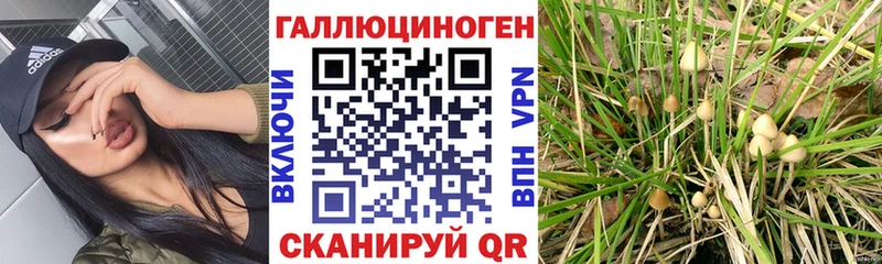 Галлюциногенные грибы прущие грибы Алушта